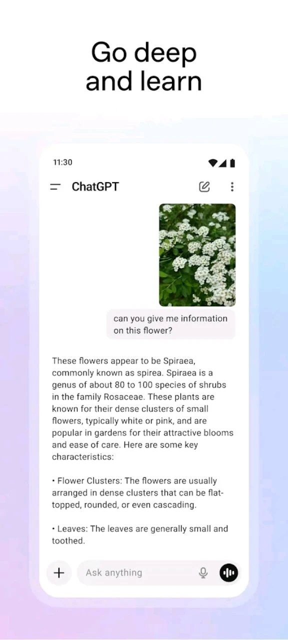 screenshot-img