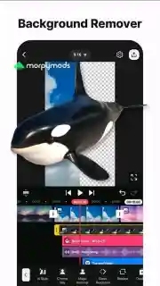 screenshot-img